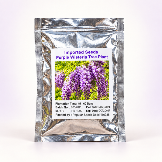 Packet labelled Imported Seeds Purple Wisteria Tree Plant.