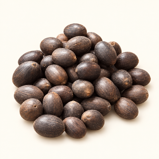 Dark oval Bonsai Lotus Flower Seeds shown together.