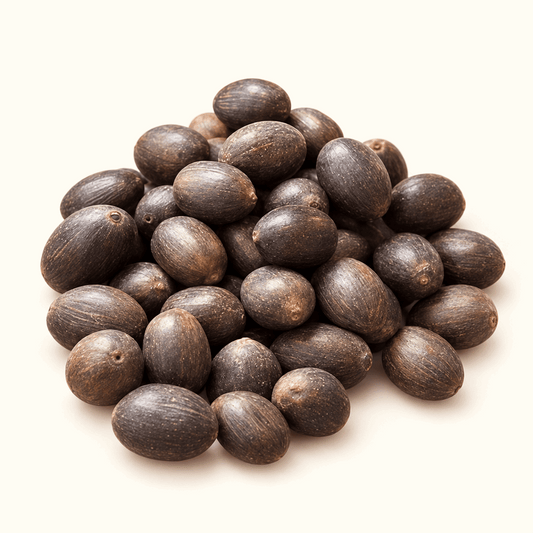 Dark oval Bonsai Lotus Flower Seeds shown together.