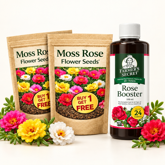 Moss Rose Flower Seeds packs with Rose Booster plant growth supplement, Buy 1 Get 1 Free.