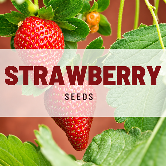 Strawberry plant image with strawberries and the text “Strawberry Seeds”.